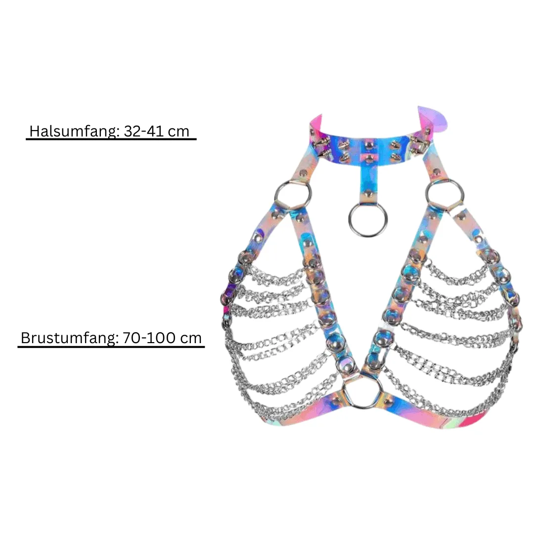 Harness Punk