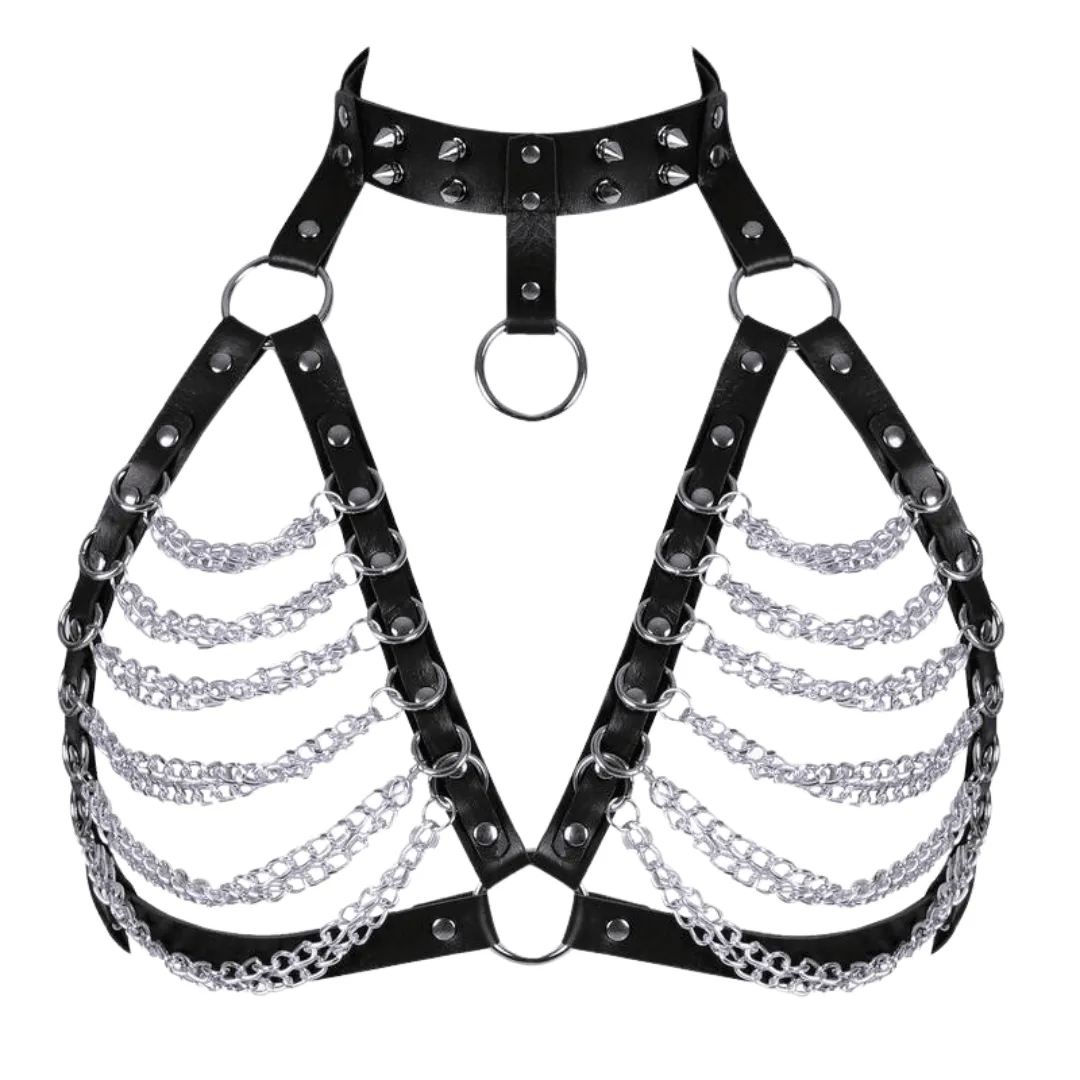 Harness Punk